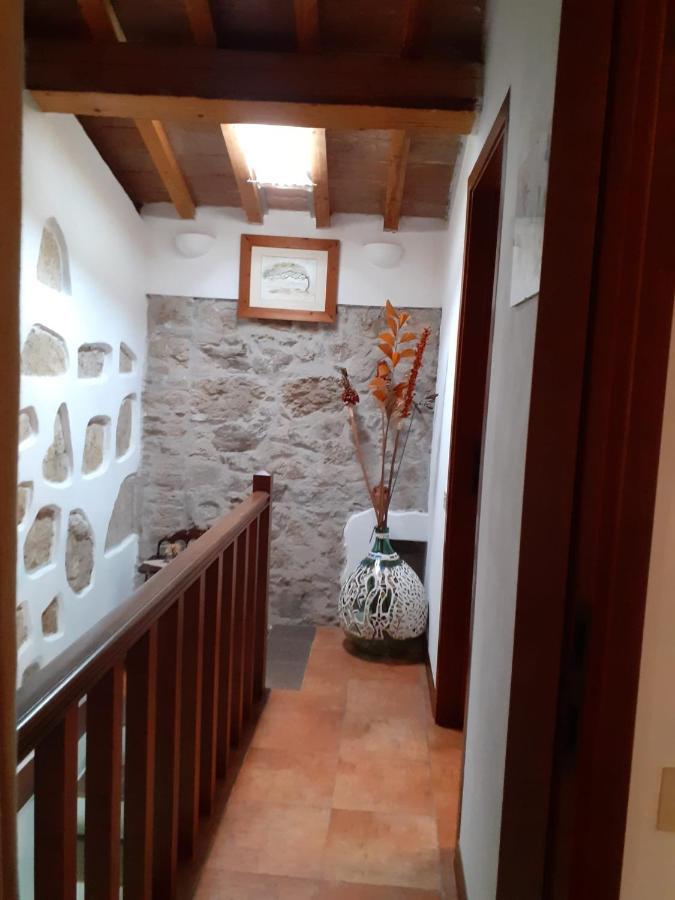 Vila Casa Di Nonno Gio Vecchiano Exteriér fotografie